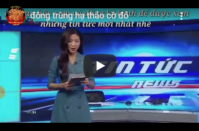 //www.dongtrunghathaocodo.com/files/images/ytb/ytb3.jpg