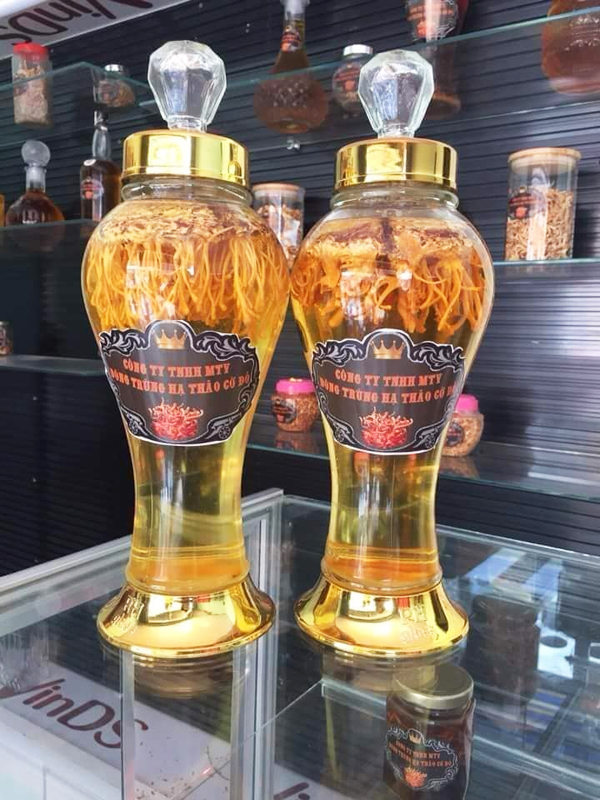 đông trùng hạ thảo