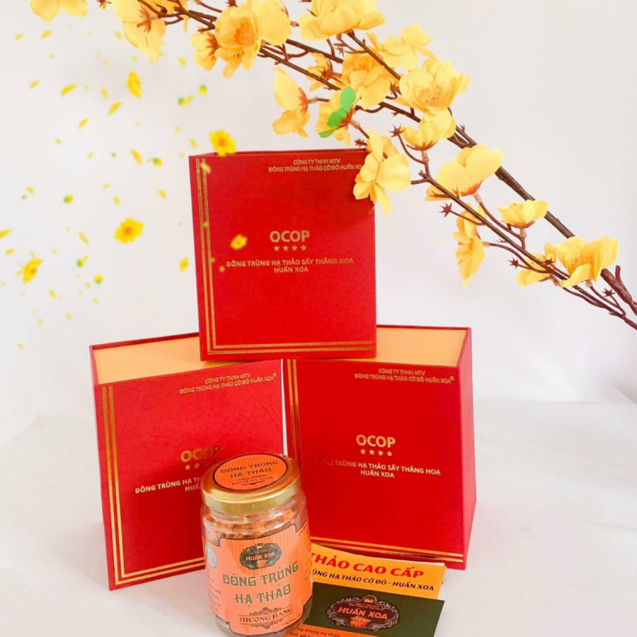Đông trùng hạ thảo khô 10g